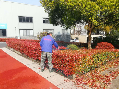 綠化.jpg